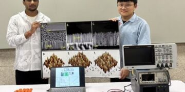 中興大學研發奈米刷狀結構微生物感測器　9分鐘快速辨識細菌新突破