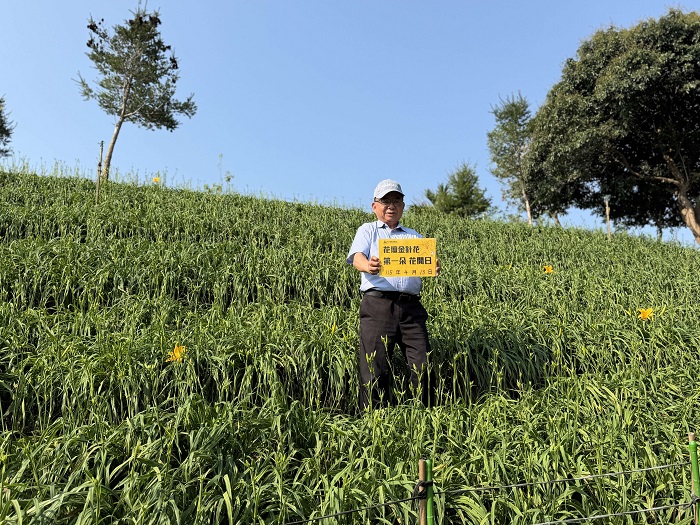 園方指出,虎山巖金針花季已逐漸成為中部重要觀光品牌。(參山處提供)