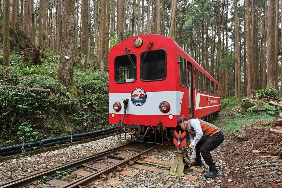 林鐵列車在柳杉林間以「之字形」折返式前進。(圖/阿里山林業鐵路及文化資產管理處)