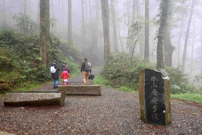 林韋君走訪「水山療癒步道」,體驗鐵道轉型步道的原始土路與蕨類生態。(圖/阿里山林業鐵路及文化資產管理處)